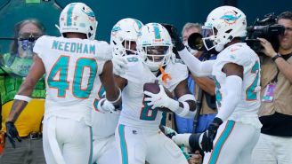 Dolphins celebran frente a los Texans