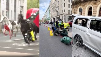 Los caballos también causaron daños materiales.