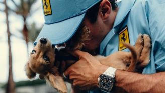 Charles Leclerc comparte adorable foto de su mascota en el GP de Miami y las redes enloquecen