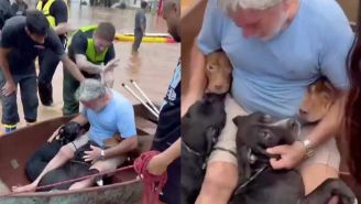 Se hace viral hombre que rescata a sus perros de las inundaciones en Brasil
