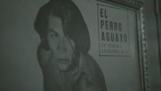 Documental del Perro Aguayo se estrenará en RÉCORD+