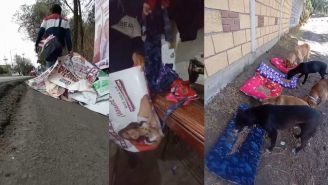 Se hace viral joven que recoge basura electoral y la convierte en camas para perros 