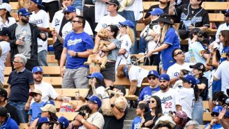 Aficionados asistieron al partido de Los Angeles Dodgers con sus perros