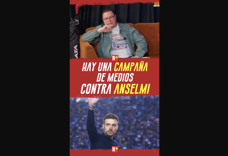 Hay una CAMPAÑA de MEDIOS contra ANSELMI