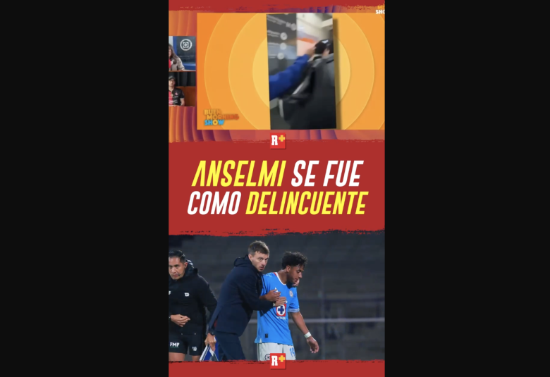 Anselmi se fue como DELINCUENTE