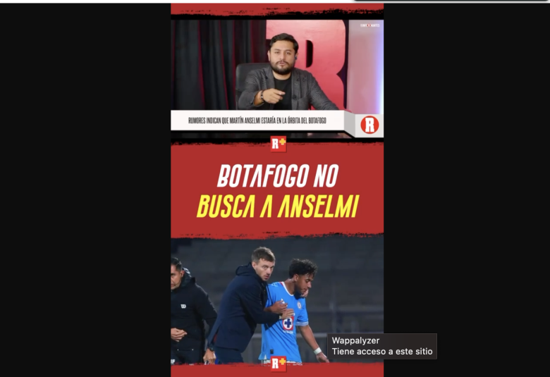 BOTAFOGO no busca a ANSELMI