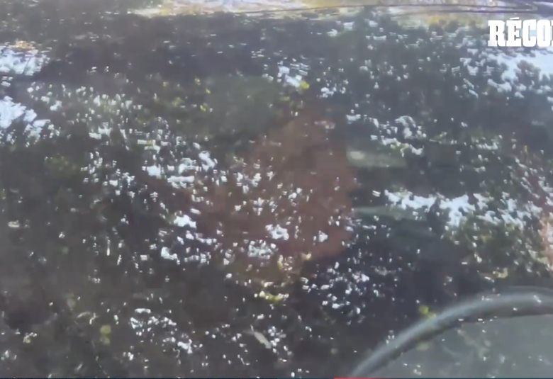 Chiquete Orozco se PRESENTÓ a pruebas médicas con Chivas