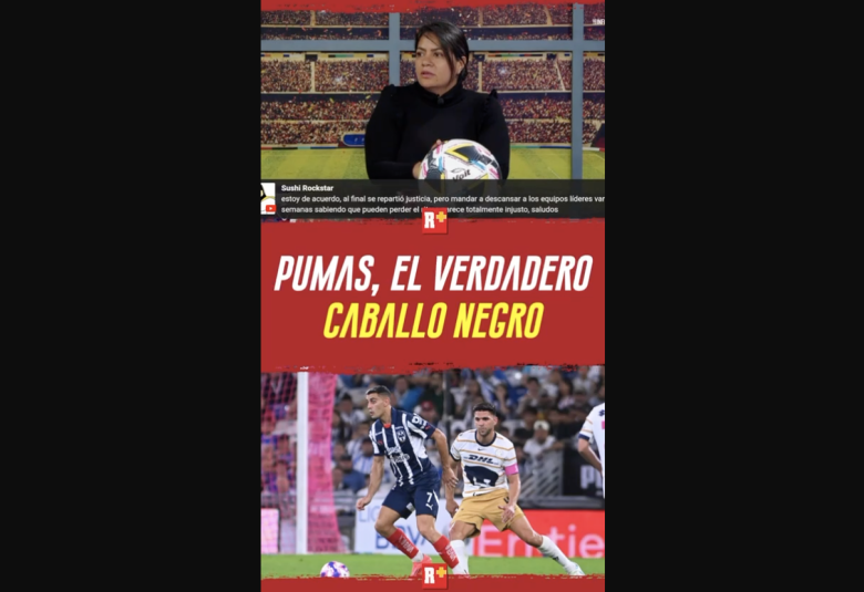 PUMAS, el VERDADERO caballo negro