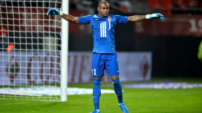 Enyeama en un partido con el Lille