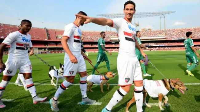 Jugadores de Sao Paulo entran al campo con perros
