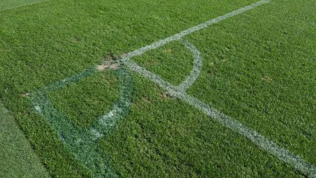 Así luciría la cancha del Malmo, luego de las modificaciones 