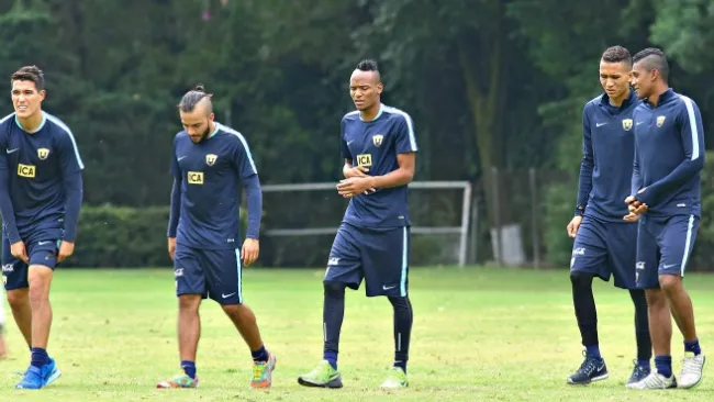 Los refuerzos durante el entrenamiento de los Pumas