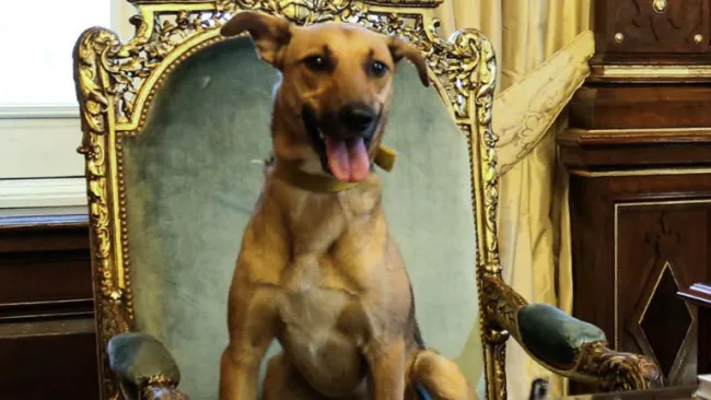 Balcarce sentado en la silla presidencial