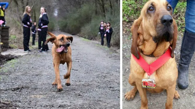Así premiaron a Ludivine, la carismática mascota del maratón