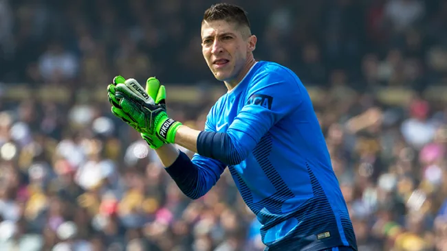 Pikolín observa el campo desde su arco