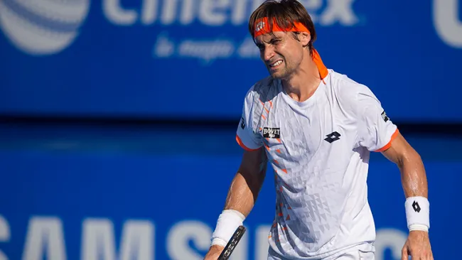 David Ferrer en el partido contra Alexandr Dolgopolov 