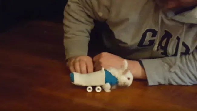 El conejo, Wheelz, avanza con su patineta de juguete