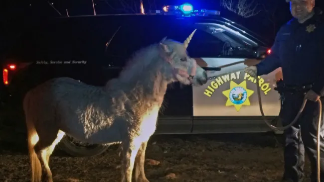 El Pony al momento de ser detenido