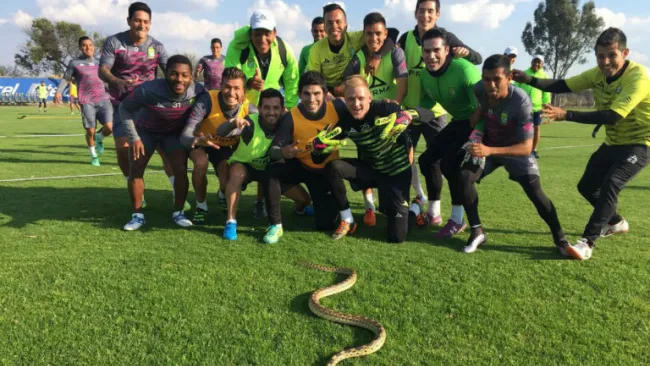 Los futbolistas del León se divierten junto a la serpiente