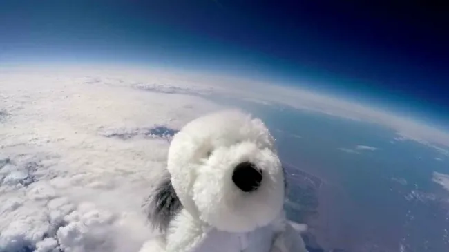 El perro Sam ya en la estratosfera 