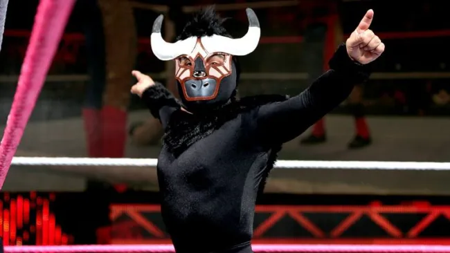 El Torito, mejor conocido en México como Mascarita Sagrada