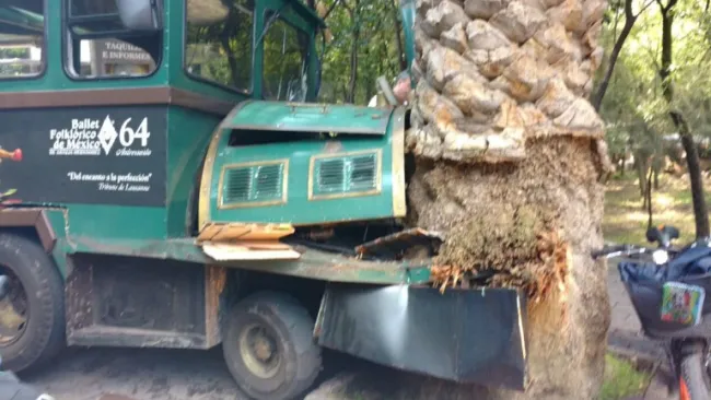 El tren se impactó con una palmera