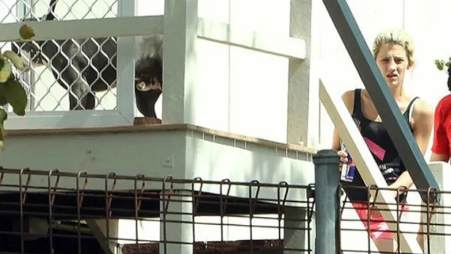 La joven australiana que podría ser condenada por brutalidad animal