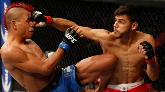 Rodríguez conecta un golpe en TUF Latinoamérica