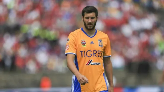 Andre Pierre Gignac, el artillero Tigre camina en la cancha 