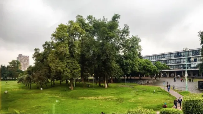 Facultad de Derecho de la U.N.A.M