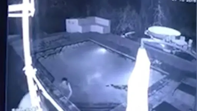 Una pareja se refrescaba en una alberca cuando un cocodrilo intentó atacarlos