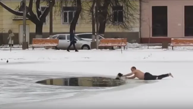 Rescate del perro atrapado