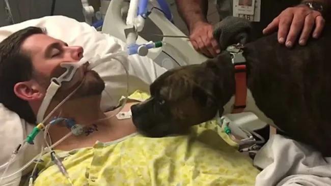 Momento en que Mollie se despide de Ryan Jessen