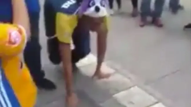 Aficionado azulcrema camina como perro en Monterrey