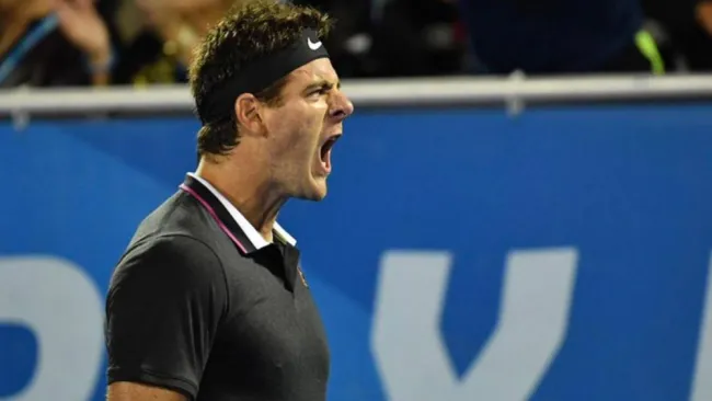 Del Potro grita tras un tiro ganador