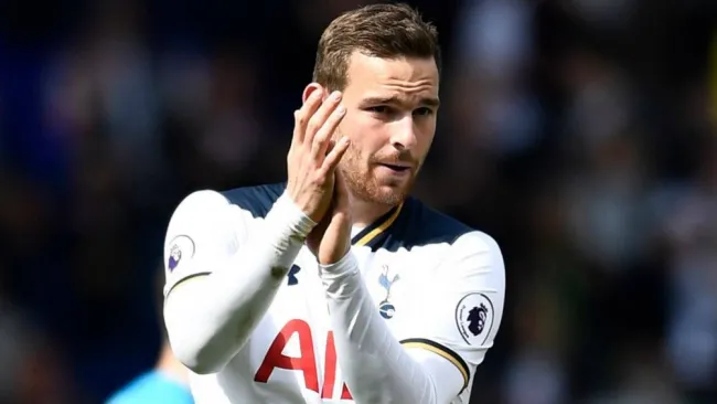 Vincent Janssen, en un partido del Tottenham