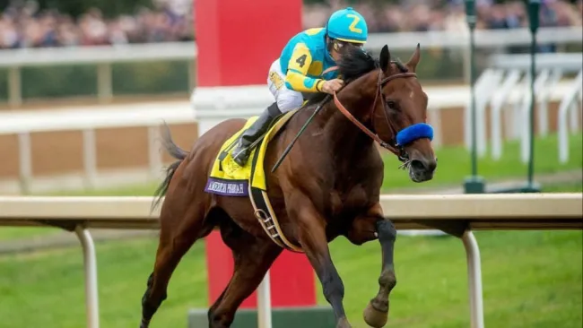 Los caballos de carreras habrían sido dopados en Estados Unidos