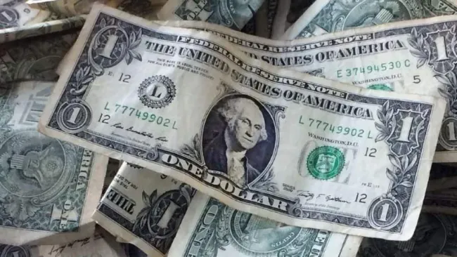 Panorámica de varios billetes de dólar