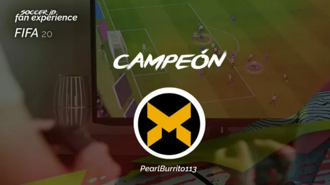 Soccer ID fan experience FIFA 20