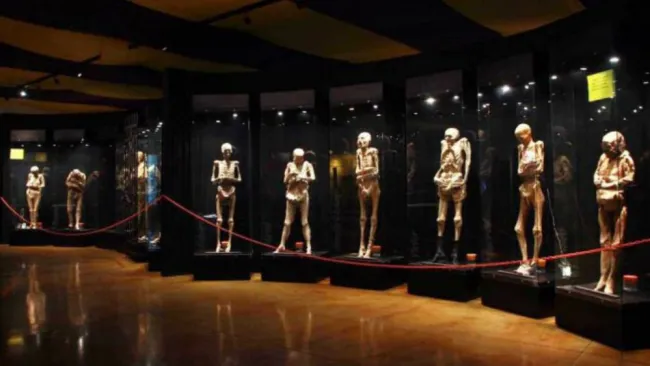 Momias de Guanajuato