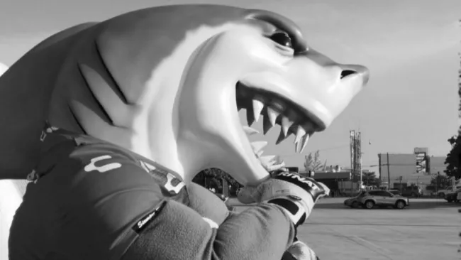  Tibu Jarocho se despidió de su botarga