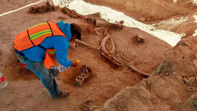  Restos de mamut hallados durante la construcción del nuevo aeropuerto