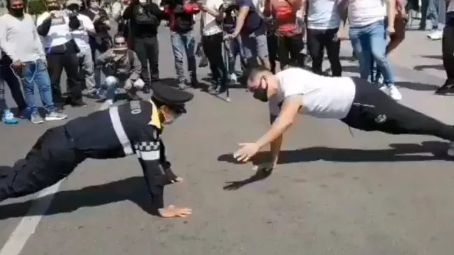 Lagartijas ciudadano y policía