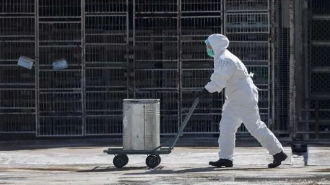 Un trabajador en una instalación agroindustrial de China