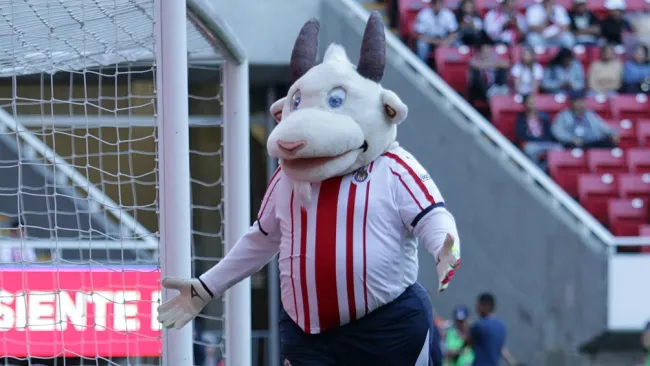Chivas: Mascota 'Chiva Loca', internada por Covid-19