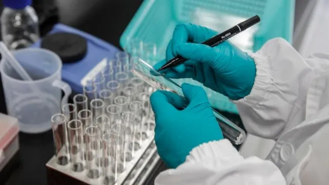 España comenzará aplicar vacunas en enero 