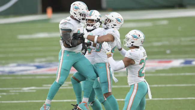 Dolphins en partido