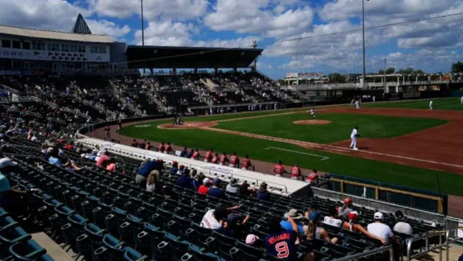 Acciones durante un juego de las Grandes Ligas