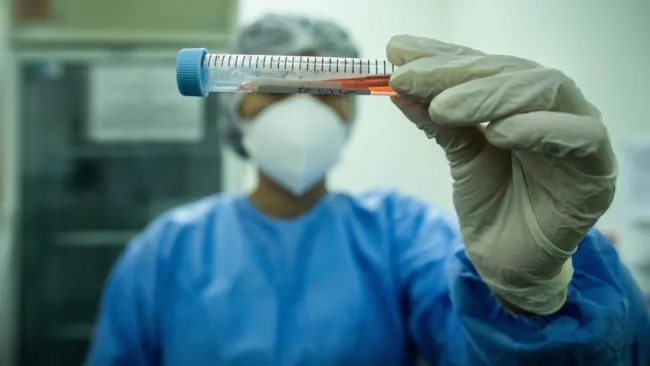 Día a día en medio de la pandemia por coronavirus