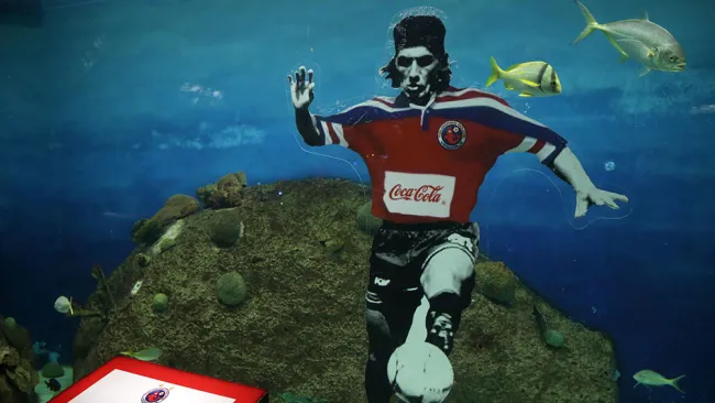 Una placa a Jorge Comas en el acuario de Veracruz 